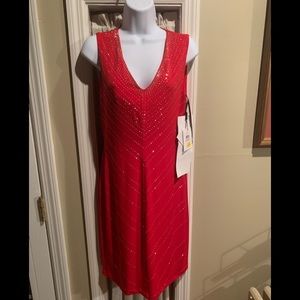 NWT Embellished holiday dress - Sz 6